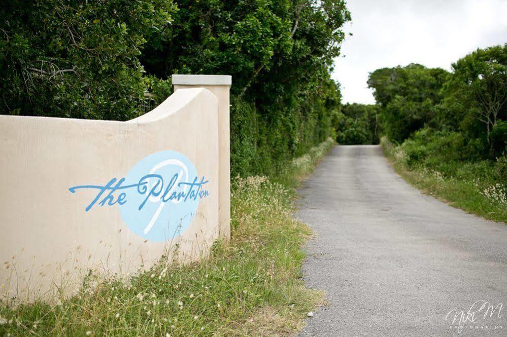 The Plantation Bed & Breakfast Port Elizabeth Exterior photo